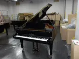 564236