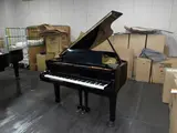 264504