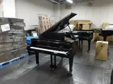 699491