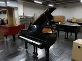 955557
