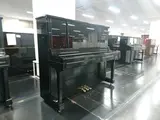 90651