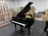 427467