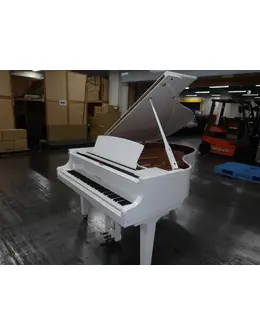 393896