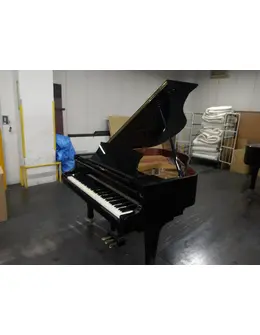 262221
